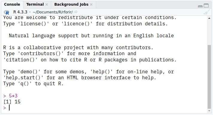 Entering a command in the R Studio Console